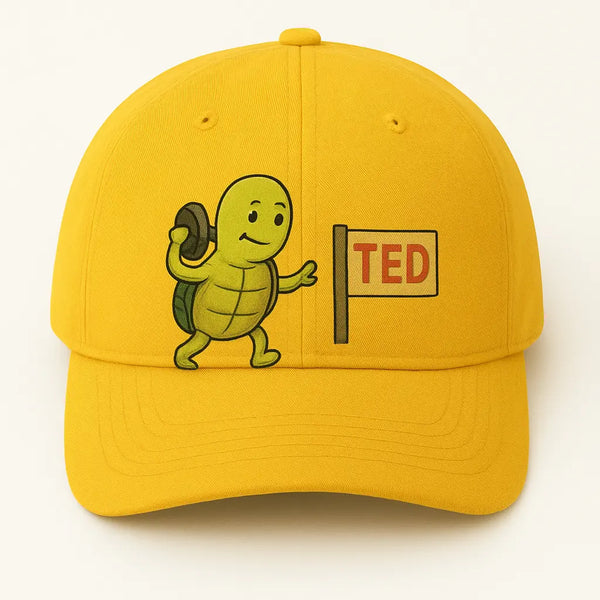 A turtle giving a talk on patience, an example of a funny birthday shirt design