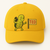Prompt: A turtle hosting a TED Talk on patience.